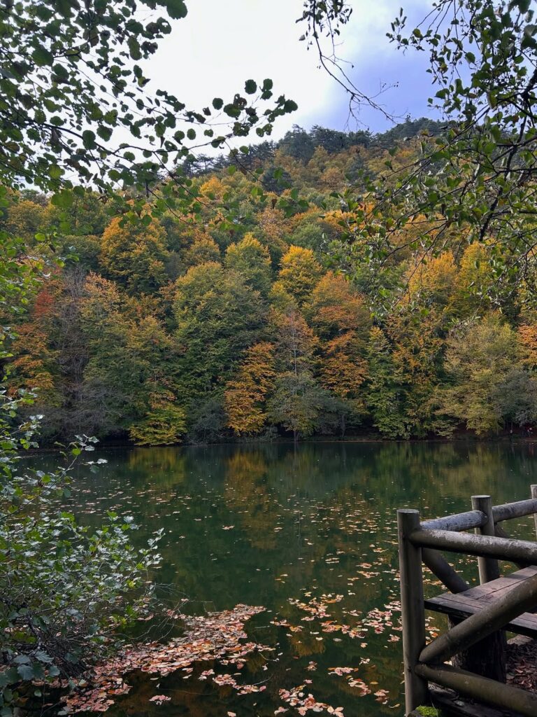 BOLU GEZİ REHBERİ